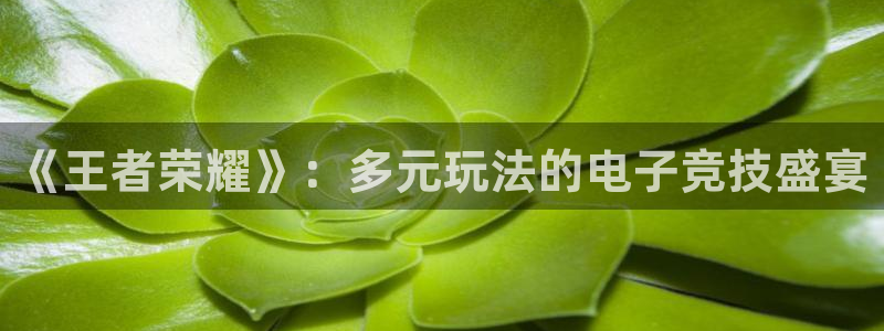 杏盛娱乐：《王者荣耀》：多元玩法的电子竞技盛宴