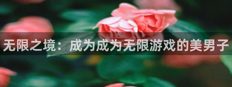 杏盛主管：无限之境：成为成为无限游戏的美男子