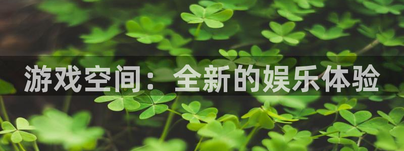 杏盛平台总代理