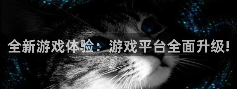 杏盛注册流程和入口