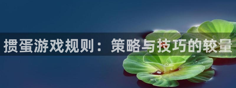 杏盛注册平台：掼蛋游戏规则：策略与技巧的较量