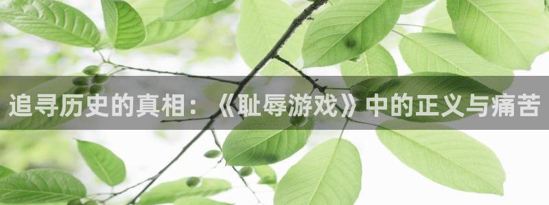 杏盛主管：追寻历史的真相：《耻辱游戏》中的正义与痛苦