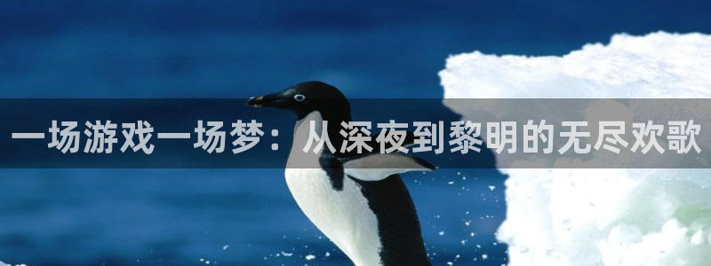 杏盛平台注册：一场游戏一场梦：从深夜到黎明的无尽欢歌