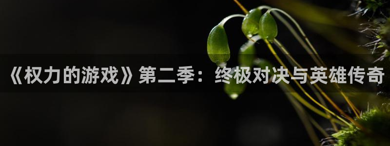 杏盛平台测速：《权力的游戏》第二季：终极对决与英雄传奇
