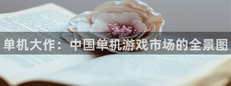 杏盛平台服务：单机大作：中国单机游戏市场的全景图