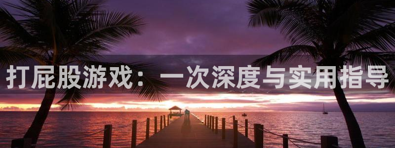 杏盛主管是谁：打屁股游戏：一次深度与实用指导