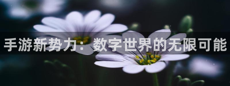 杏盛注册流程和入口