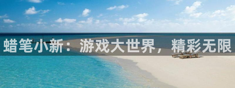 杏盛平台总代理：蜡笔小新：游戏大世界，精彩无限