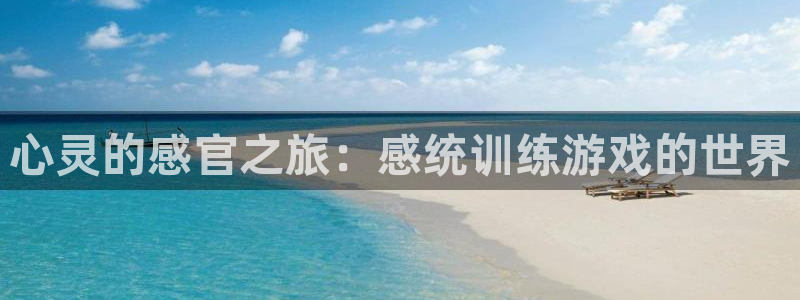 杏盛注册平台：心灵的感官之旅：感统训练游戏的世界