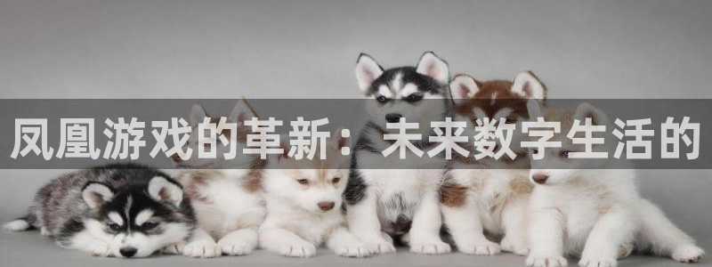 杏盛注册：凤凰游戏的革新：未来数字生活的