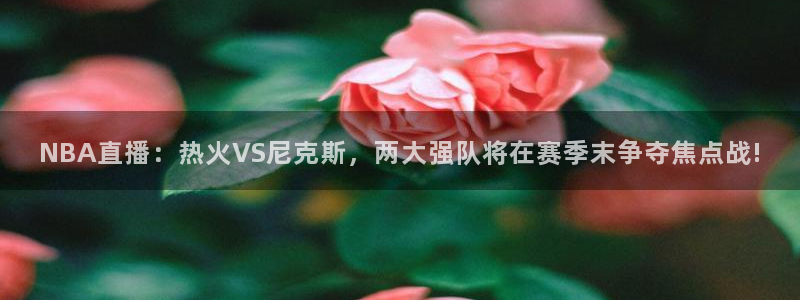 咪咕视频新版：NBA直播：热火VS尼克斯，两大强队将在赛季末争夺焦点战!