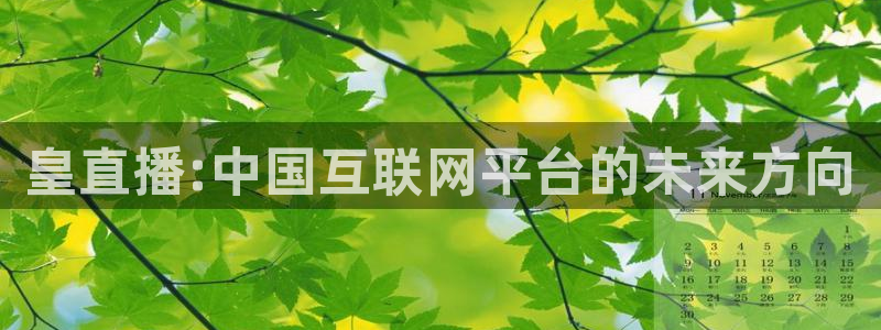 咪咕体育官网：皇直播:中国互联网平台的未来方向