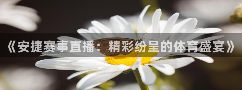 咪咕体育：《安捷赛事直播：精彩纷呈的体育盛宴》